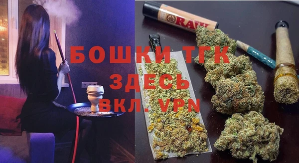 шишки Богородицк