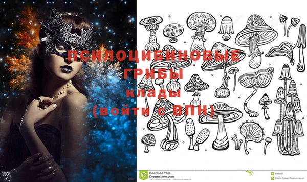 марки lsd Белокуриха