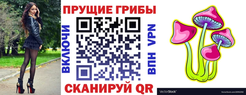 Псилоцибиновые грибы ЛСД наркошоп Купино